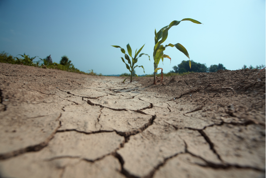 Nord et Pas-de-Calais : les restrictions d'eau renforcées face à la sécheresse.