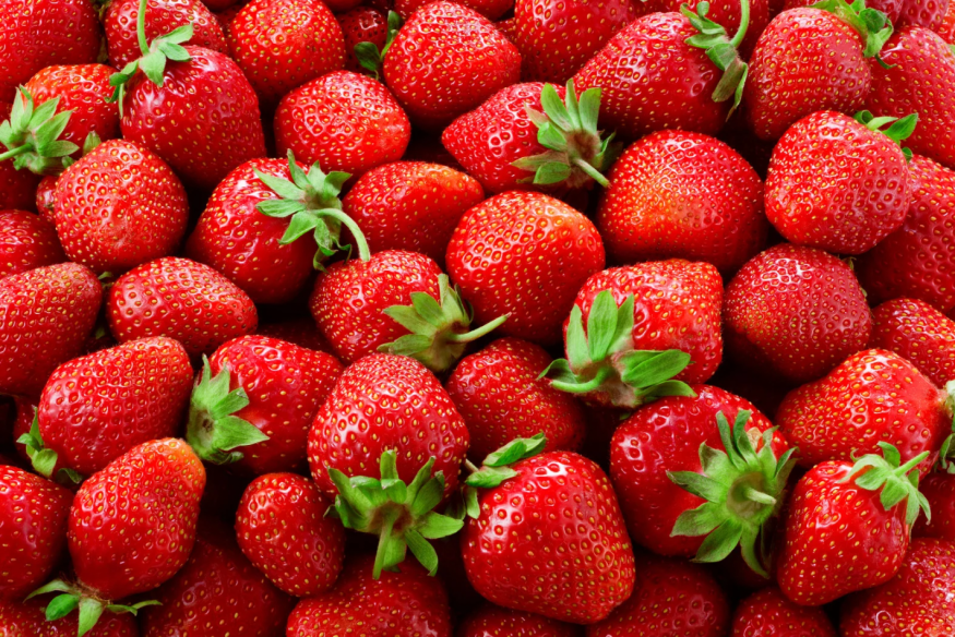 Laon : une célèbre société permet d’établir le record mondial du plus gros fraisier.